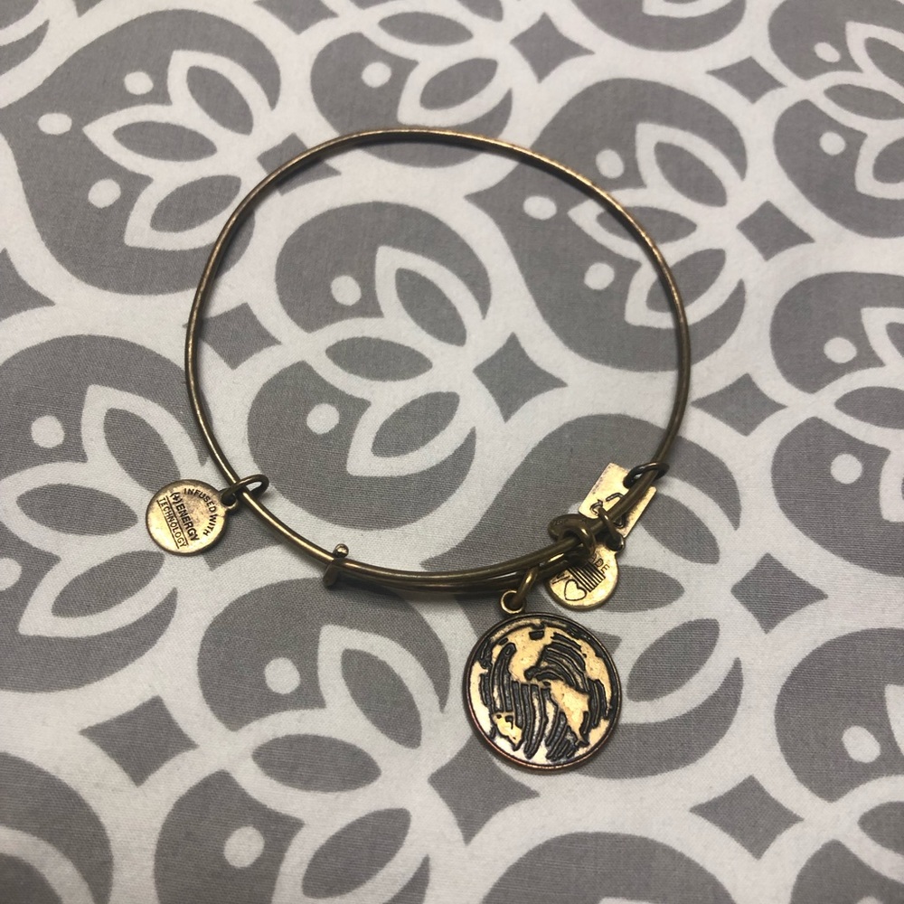 Alex and Ani world map bracelet